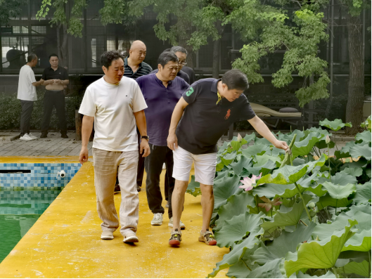 【团体会员】凝心聚力，共话发展--新乡市侨商会走进“不老鸡不老鸭”调研参观